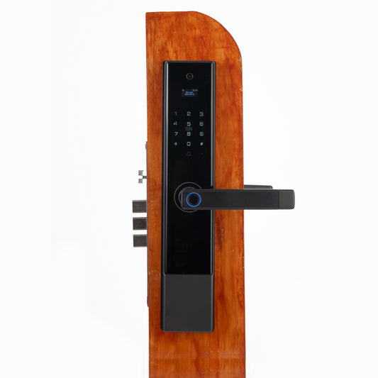 Smart Lock Dig P30