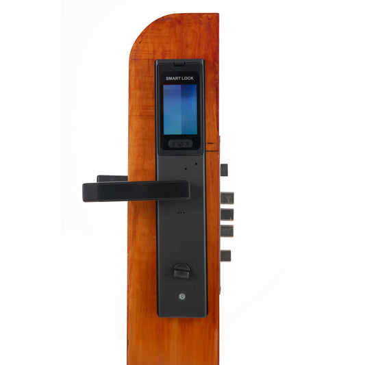 Smart Lock Dig P30